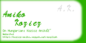 aniko kozicz business card